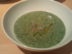 Pant Nettle Soup