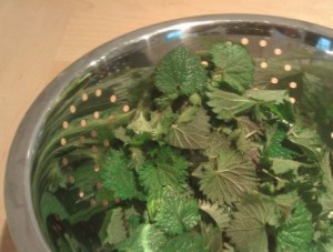 Washed Pant Nettles