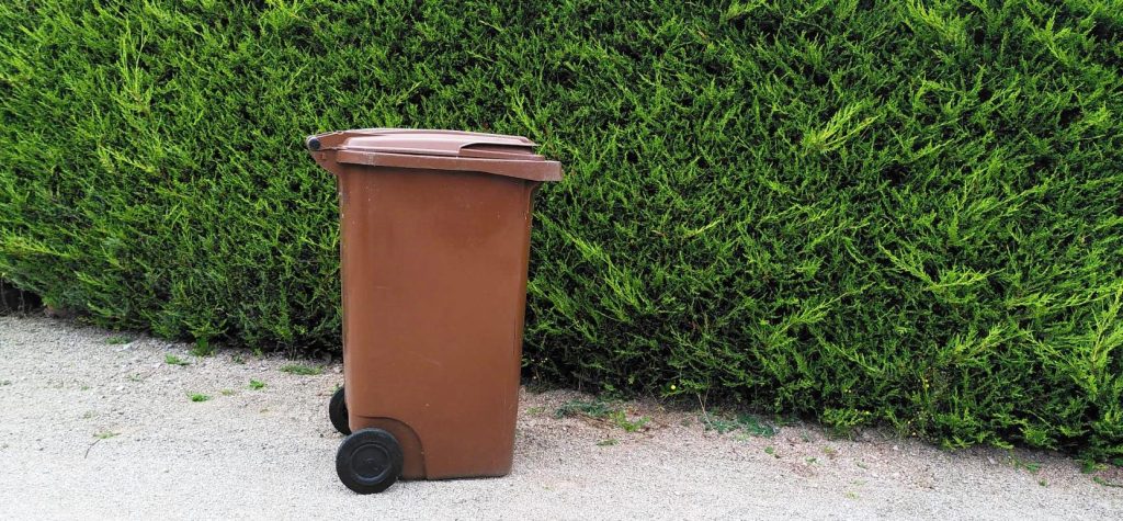 Picture of wheelie bin again a conifer hedge