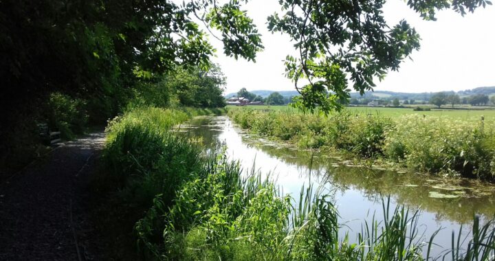 View of the Montgomery Canal in Shropshire